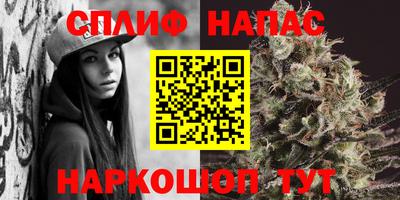 скорость Дубна